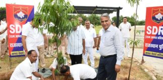 एसडीआरएफ मुख्यालय गाडोता में सघन वृक्षारोपण अभियान का शुभारंभ